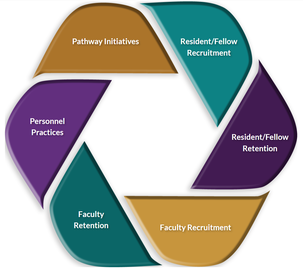 Circular graphic with categories of approaches available in the collection including Pathway Initiatives, Resident/Fellow Recruitment, Resident/Fellow Retention, Faculty Recruitment, Faculty Retention, and Personnel Practices.